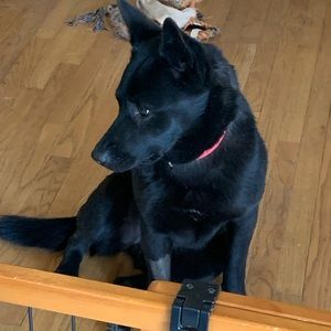 Meet your Posher, Athena